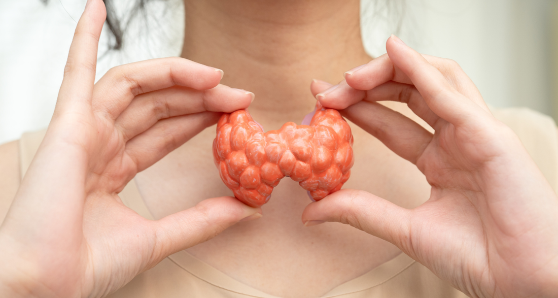 Celebrating World Thyroid Month